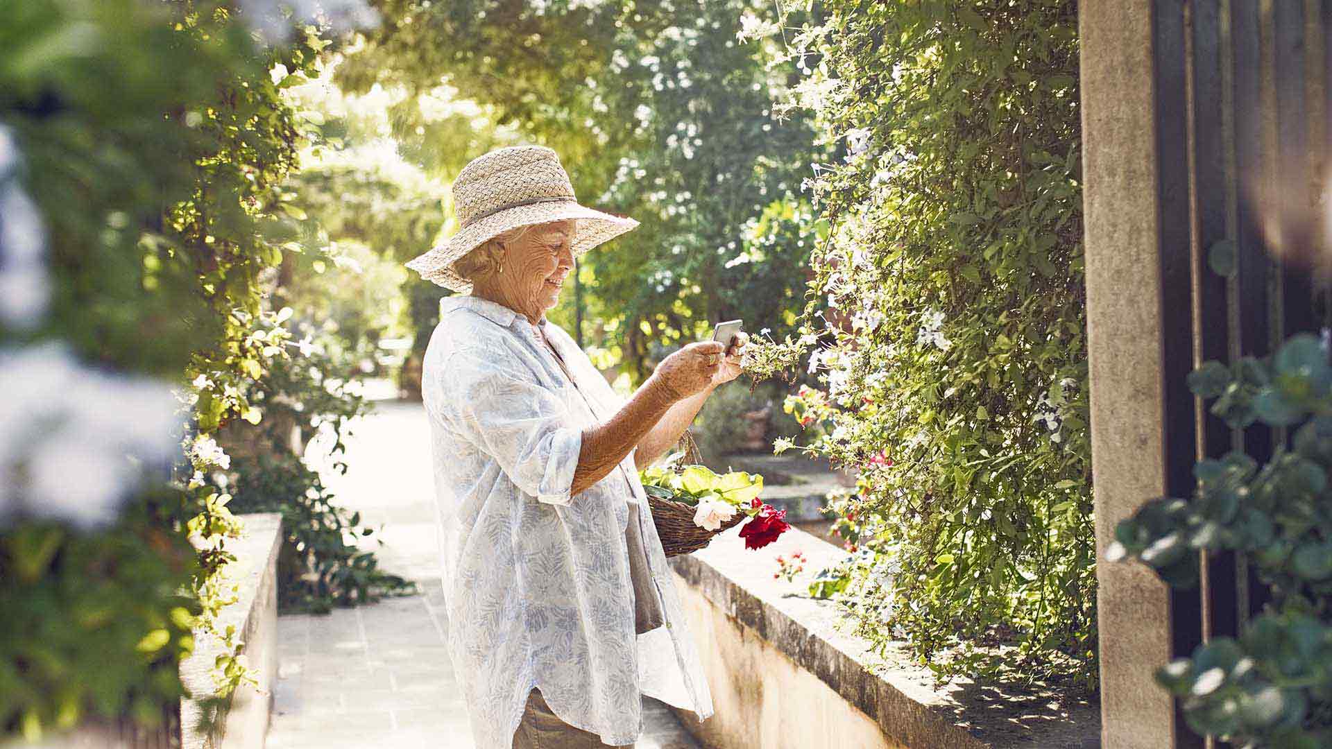 Eldre kvinne som plukker blomster i hagen