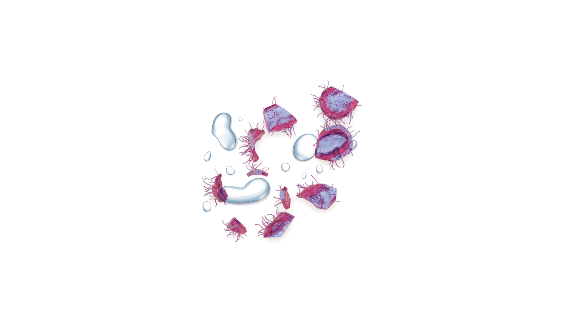 bacteria-web3-1920x1080.png